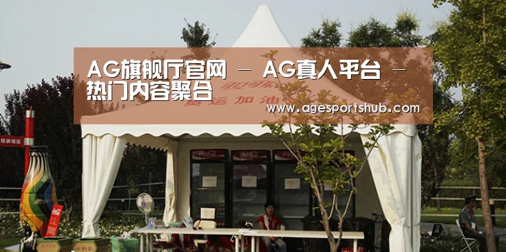 案例标题五